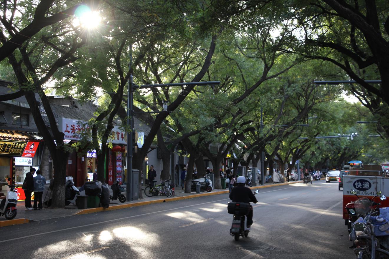 Cycling to Qianhai