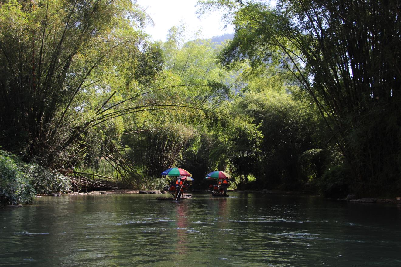 Bamboo river